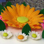 Celebrations 17