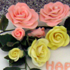 Celebrations 25